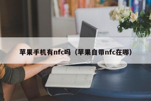 苹果手机有nfc吗（苹果自带nfc在哪）