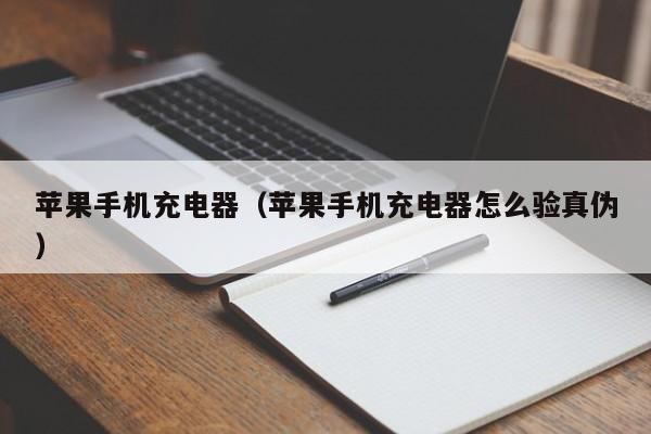 苹果手机充电器(苹果手机充电器怎么验真伪)